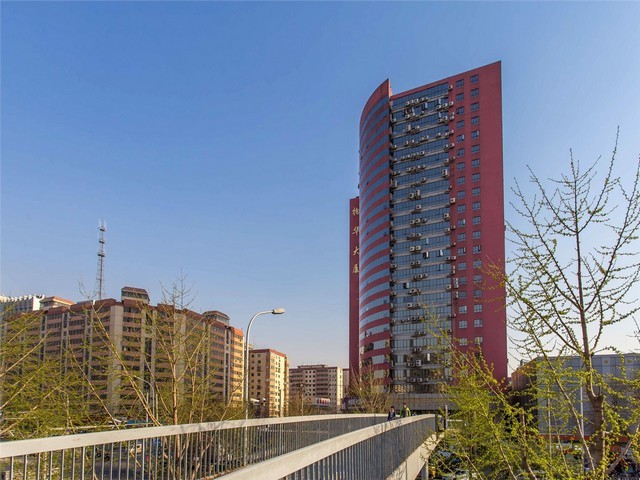 黄浦区纸箱回收处置