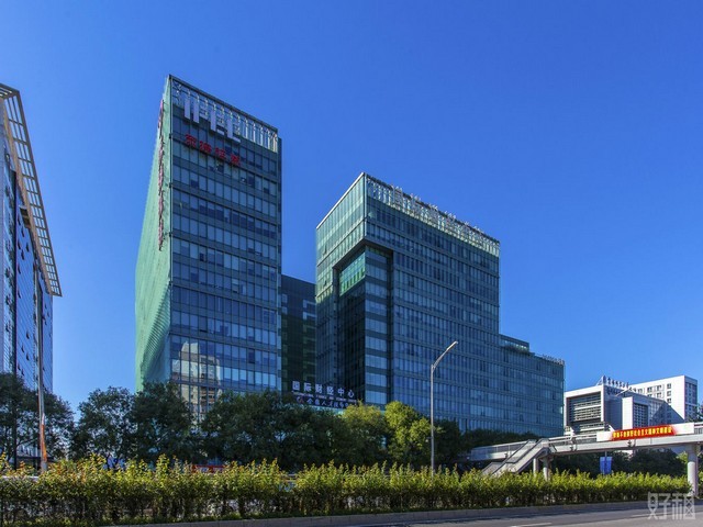 广东新月子米多少钱